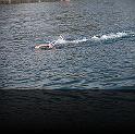 Comen Cup 2009 446